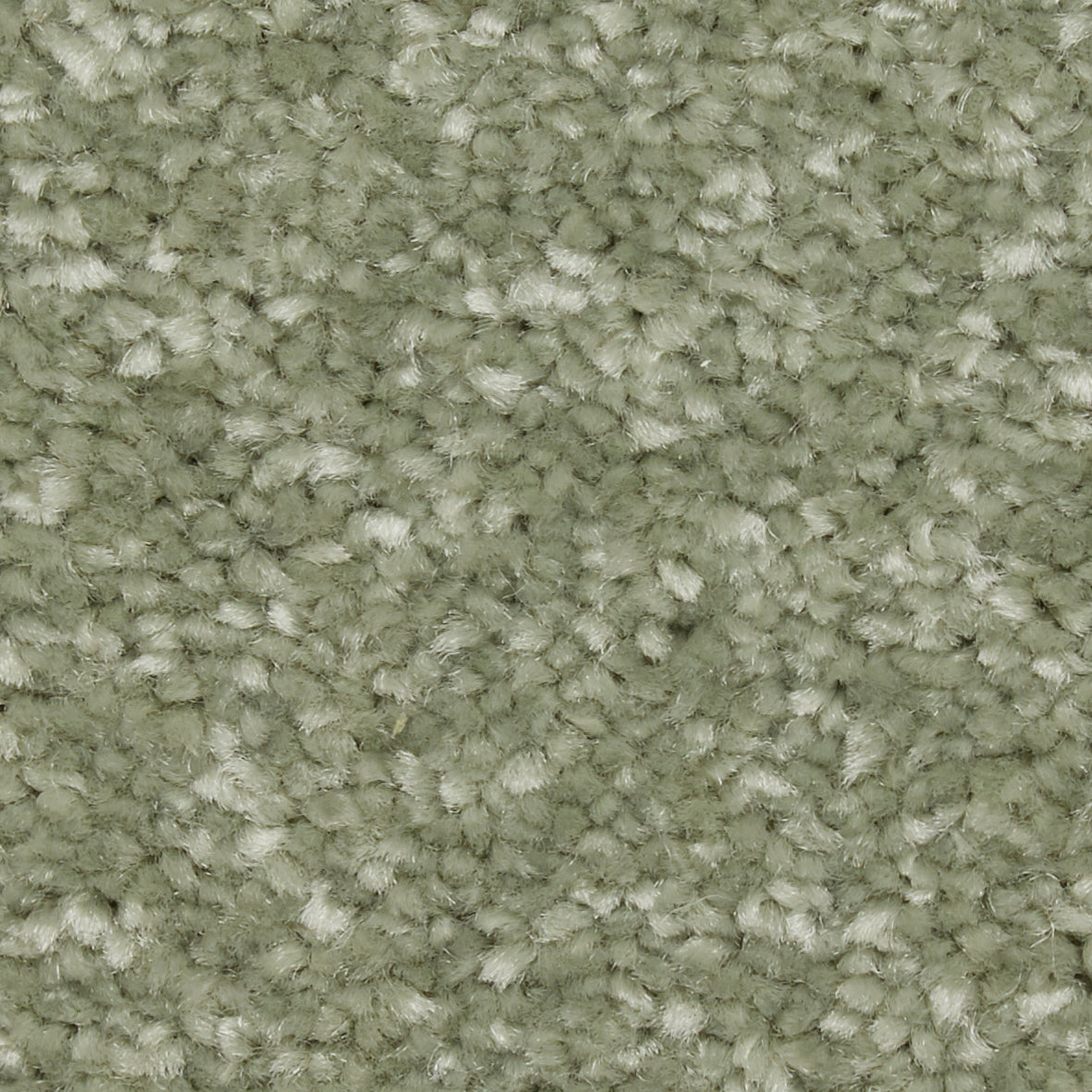 Riva SB Greengage Carpet