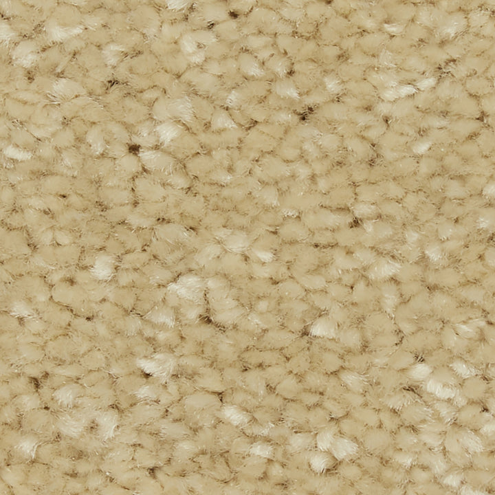 Riva SB Panama Carpet