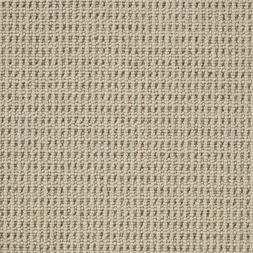 Pimlico Lace Carpet