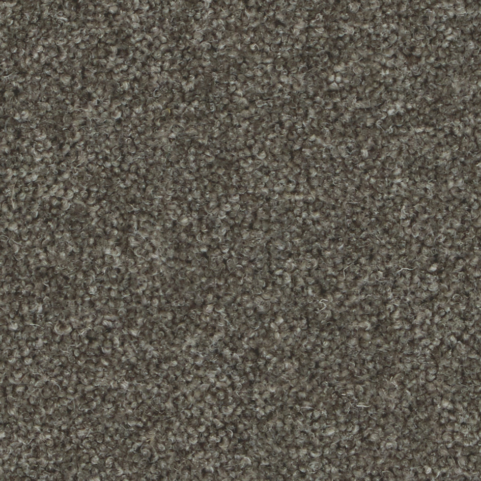 Pembroke Anvil Carpet
