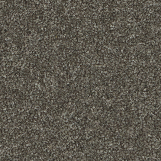 Pembroke Anvil Carpet