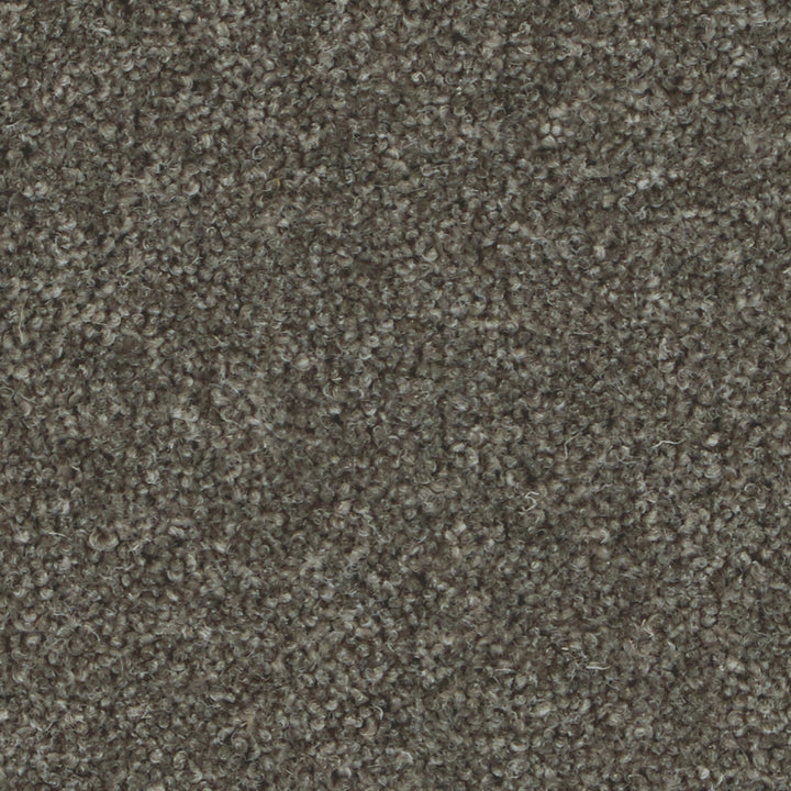 Pembroke Anvil Carpet