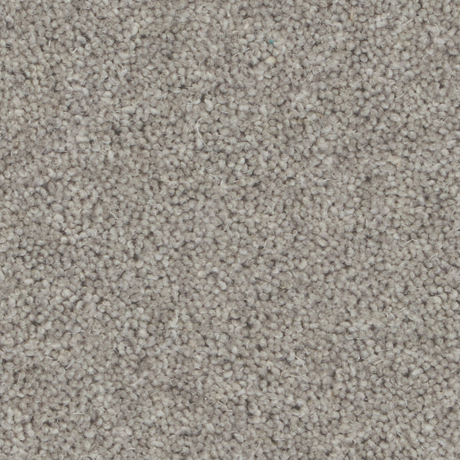 Pembroke Storm Cloud Carpet
