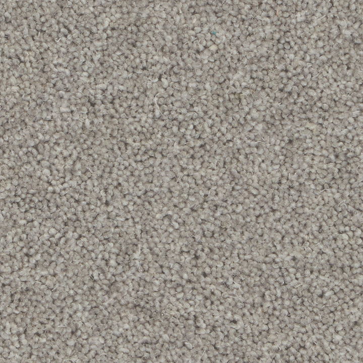 Pembroke Storm Cloud Carpet