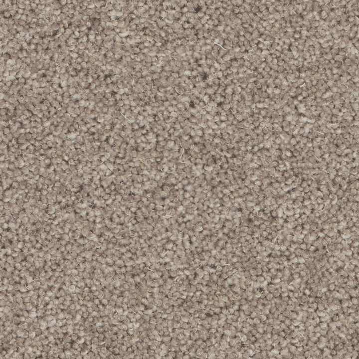 Pembroke London Stone Carpet