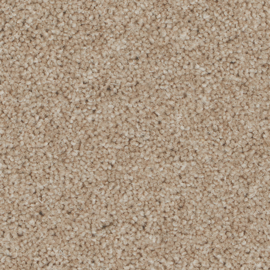 Pembroke Toasted Almond Carpet