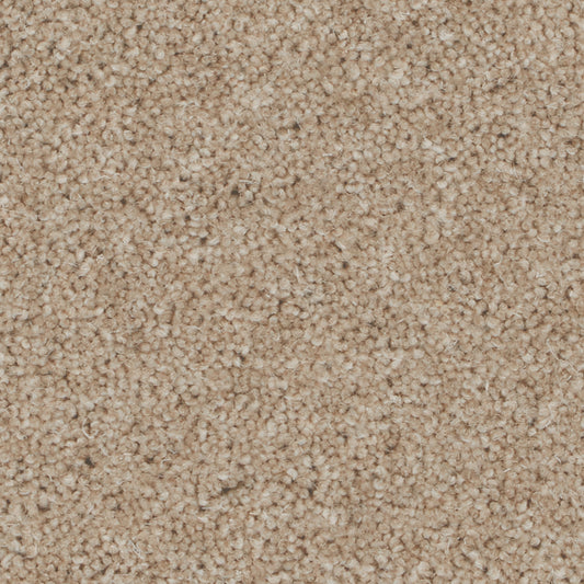 Pembroke Toasted Almond Carpet