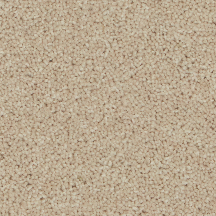 Pembroke Savannah Carpet