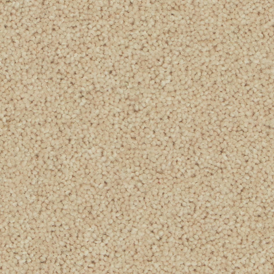 Pembroke Caraway Carpet
