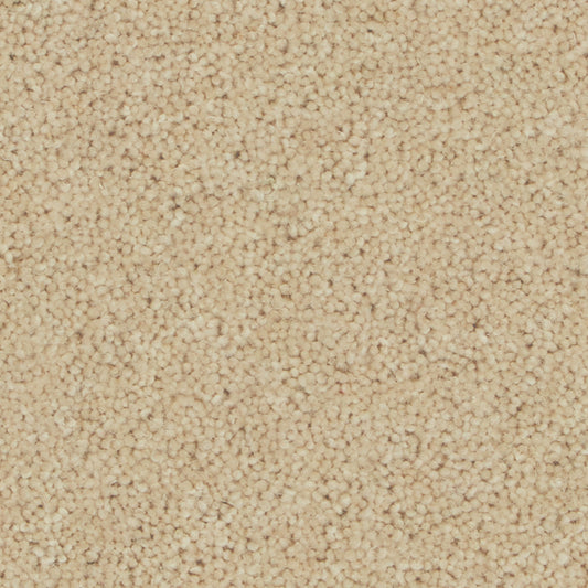 Pembroke Caraway Carpet