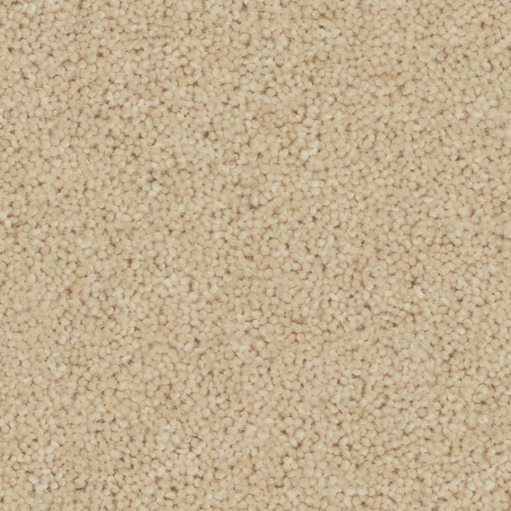 Pembroke Caraway Carpet