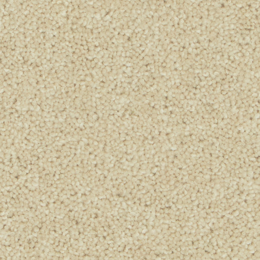 Pembroke Egyptian Cotton Carpet