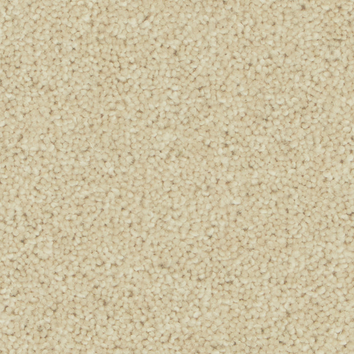 Pembroke Egyptian Cotton Carpet