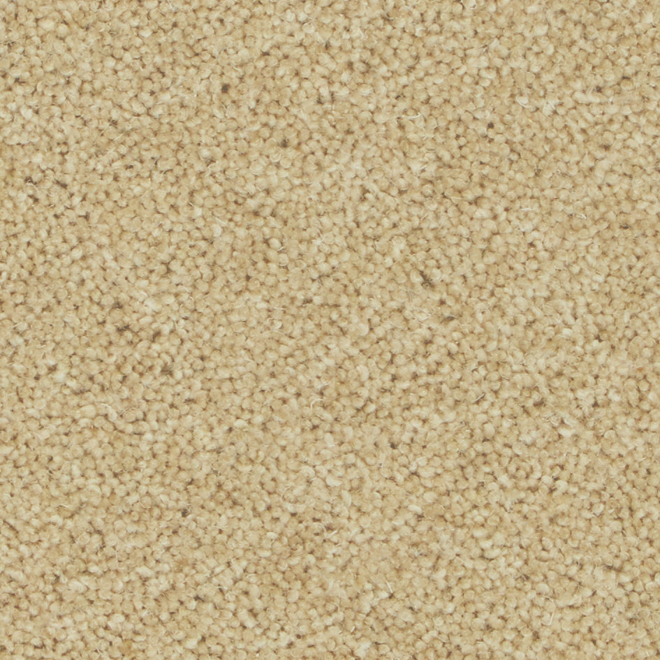 Pembroke Camel Carpet