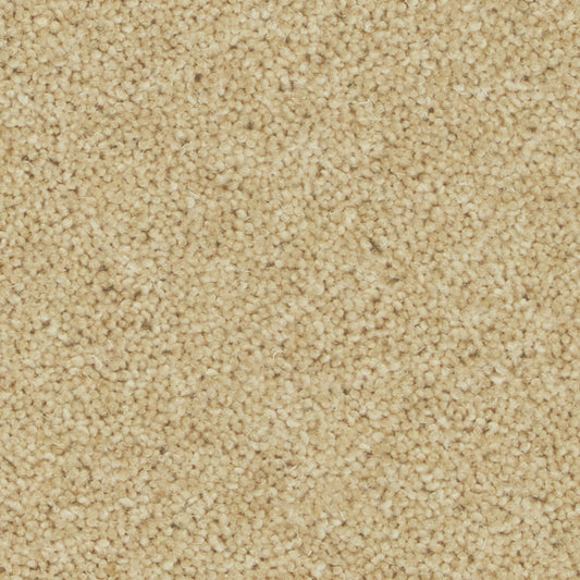 Pembroke Camel Carpet