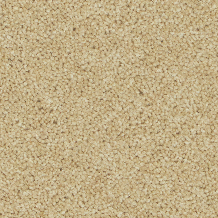 Pembroke Camel Carpet