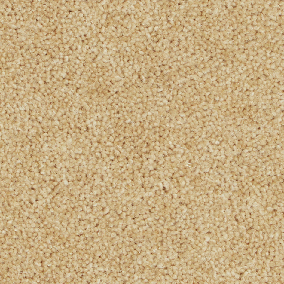 Pembroke Wood Ash Carpet