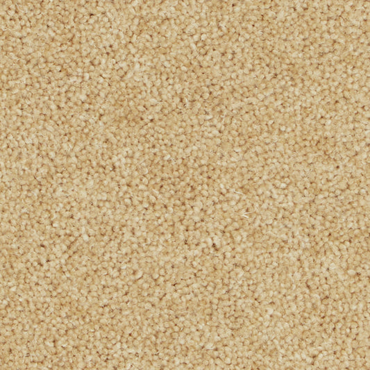 Pembroke Wood Ash Carpet