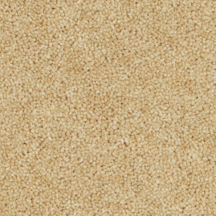 Pembroke Wood Ash Carpet