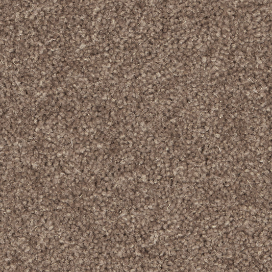 Pembroke Rosewood Carpet