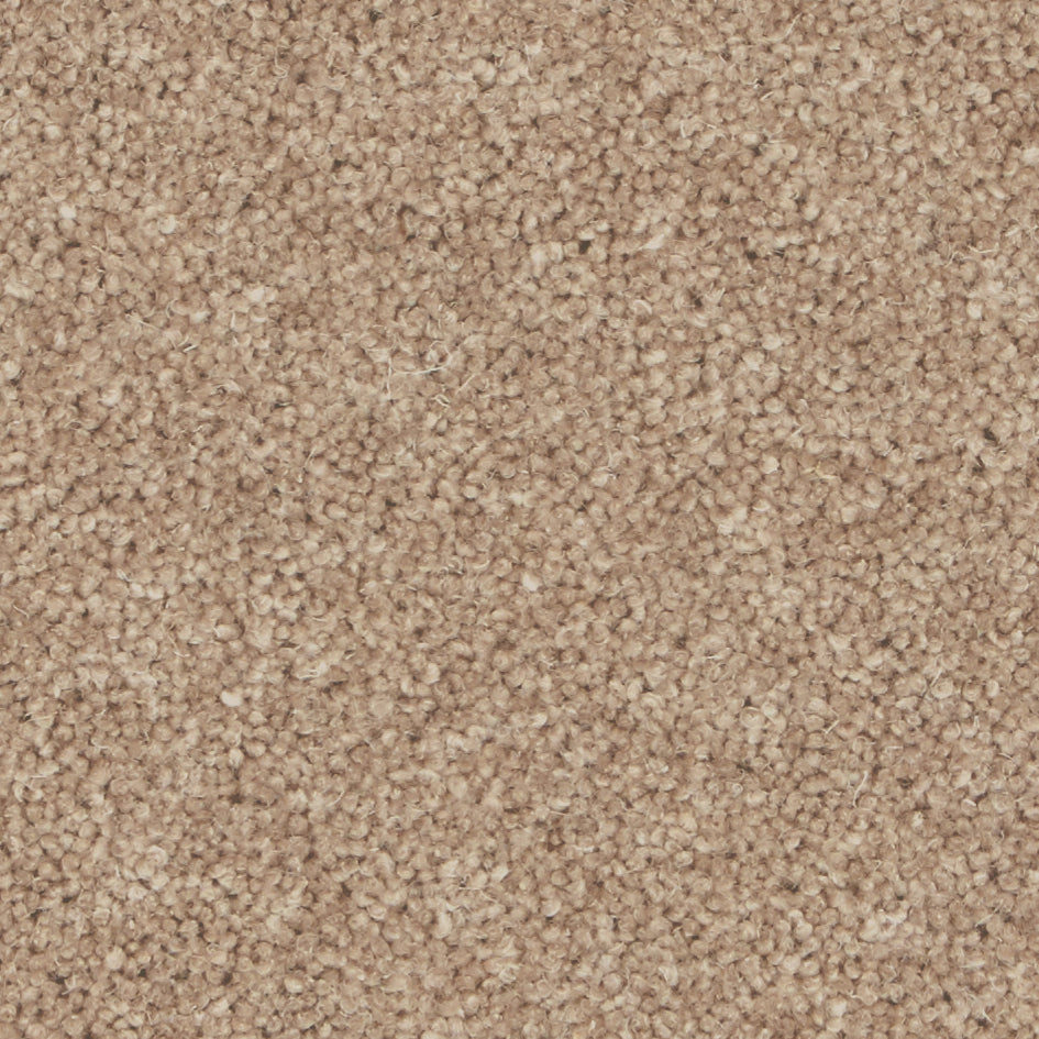 Pembroke Hickory Carpet