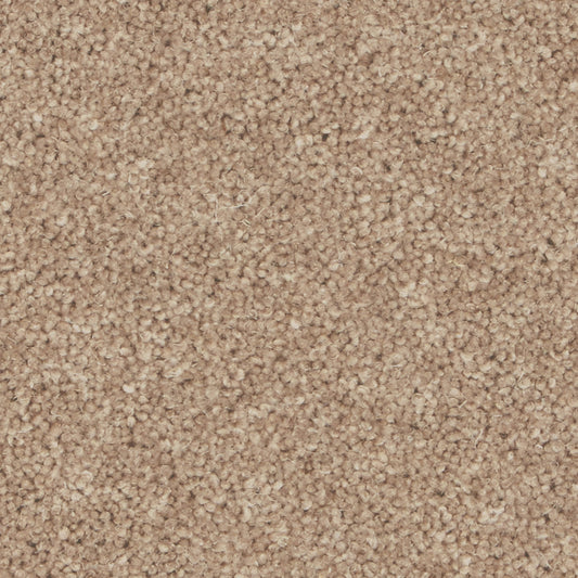 Pembroke Hickory Carpet