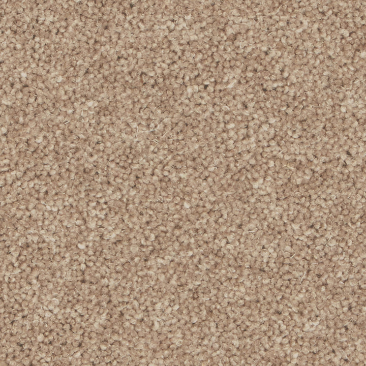 Pembroke Hickory Carpet