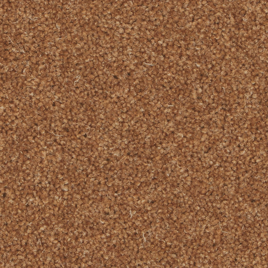 Pembroke Red Squirrel Carpet