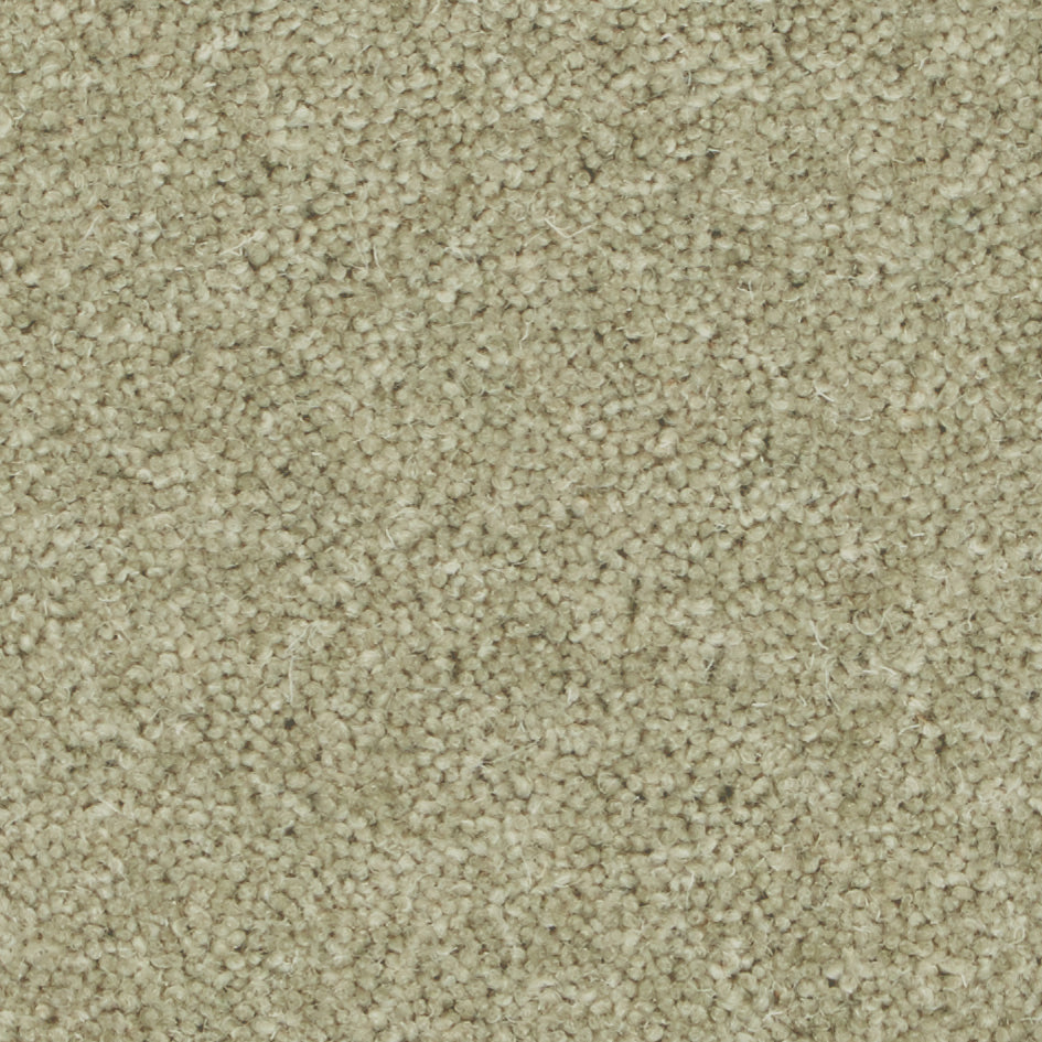 Pembroke Chervil Carpet
