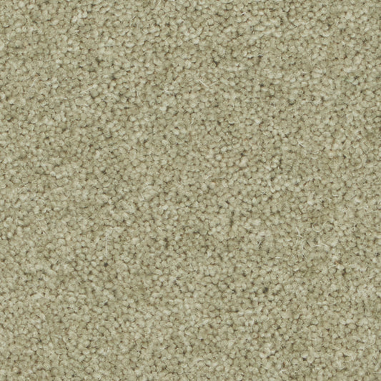 Pembroke Chervil Carpet