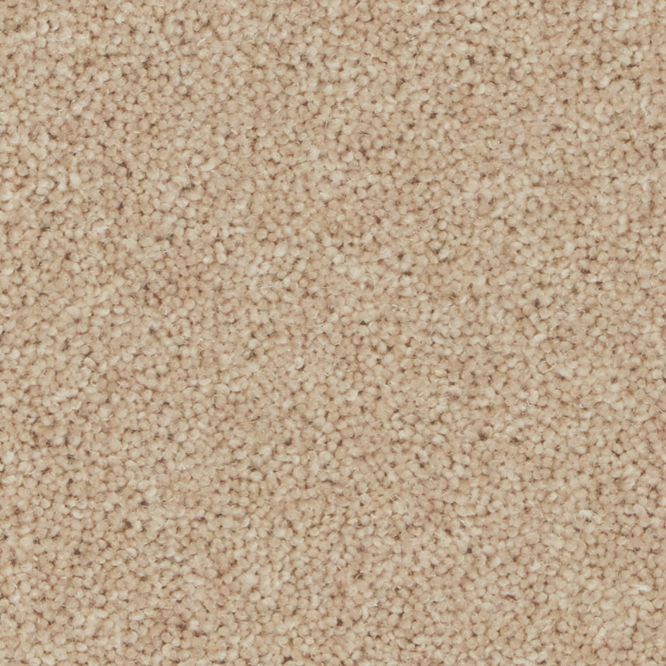 Pembroke Cashmere Carpet