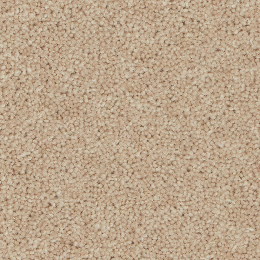 Pembroke Cashmere Carpet