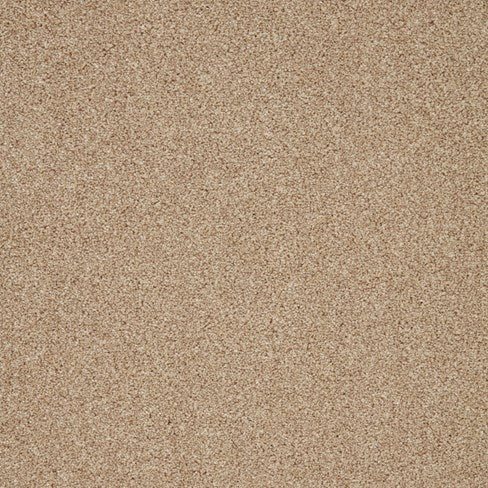 Trinity Palm Sugar Carpet