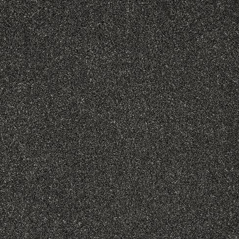 Trinity Jet Carpet
