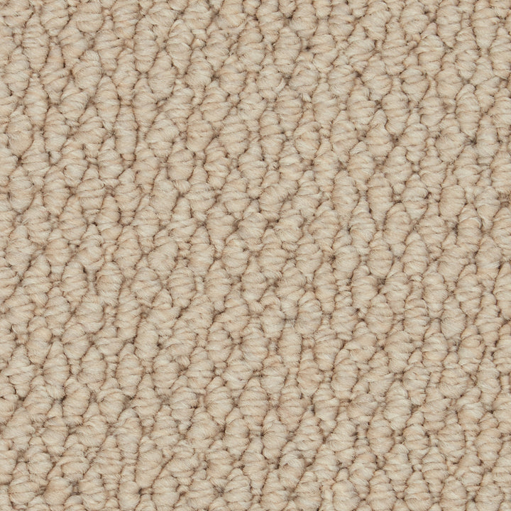 Primo Textures Chalice (weave) Carpet