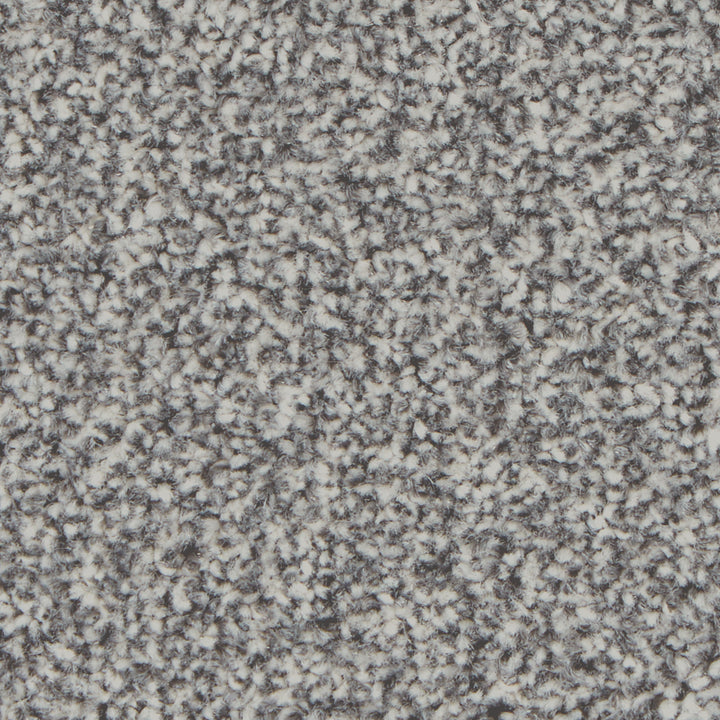 Kingston Classic Silver Birch Carpet