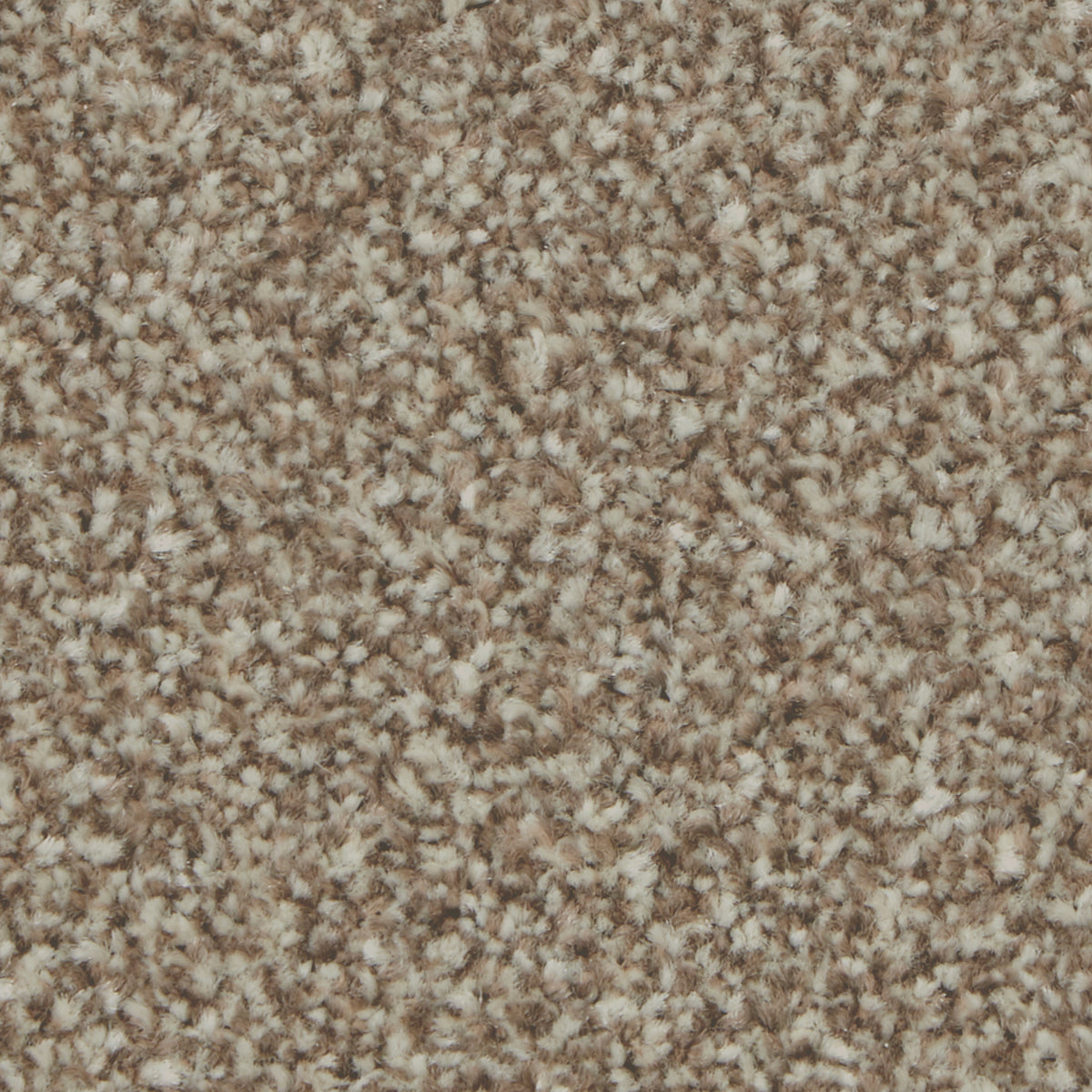 Kingston Classic Kernel Carpet