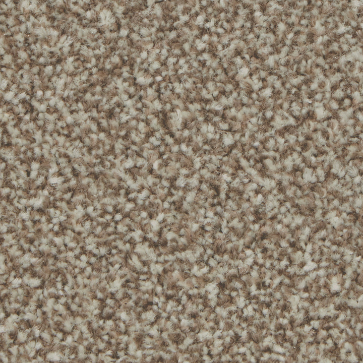 Kingston Classic Kernel Carpet