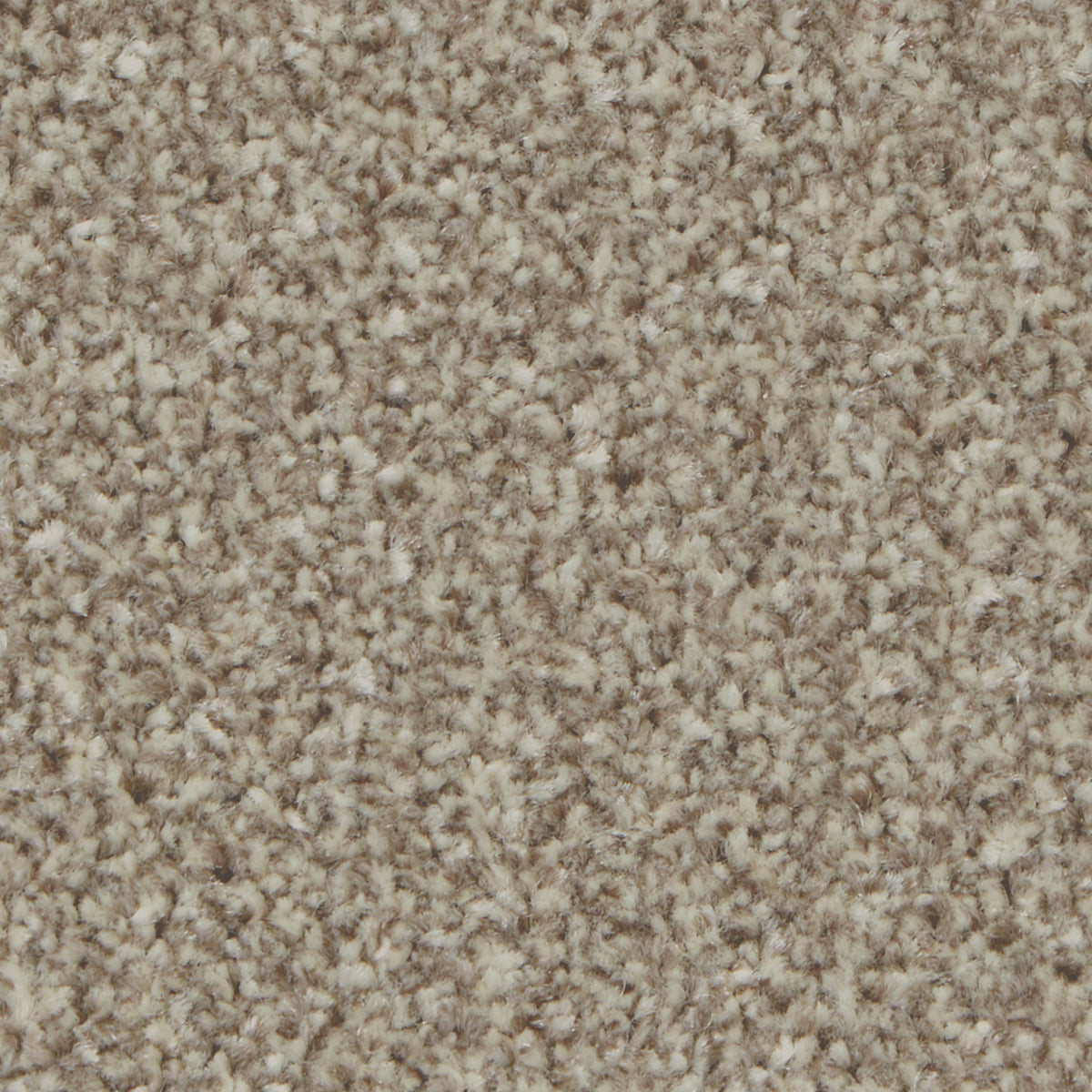 Kingston Classic Pale Oak Carpet