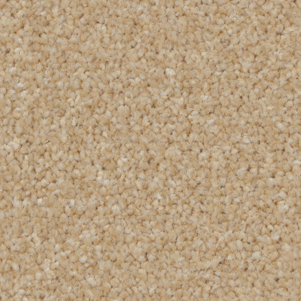 Kingston Classic Hayseed Carpet
