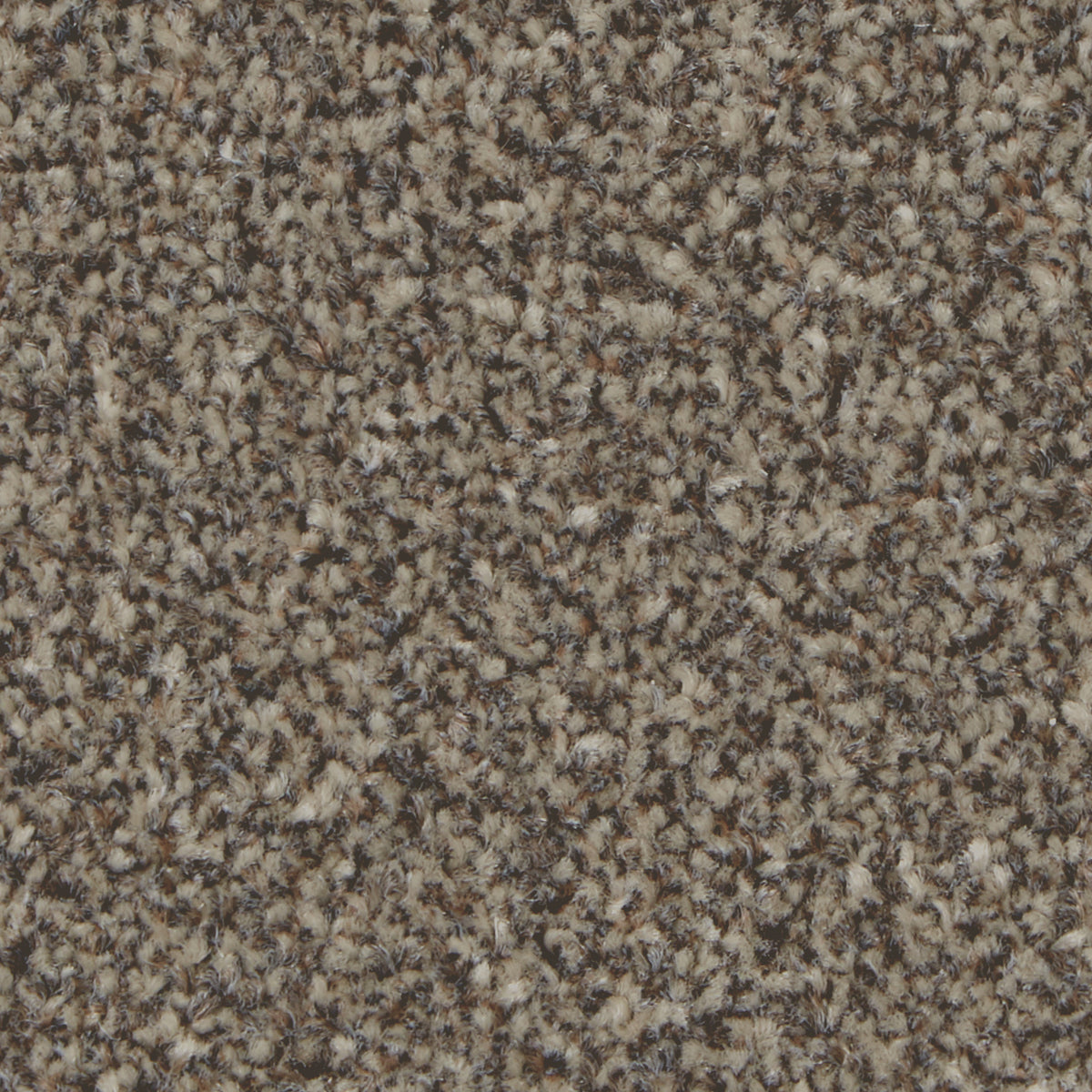 Kingston Classic Molasses Carpet