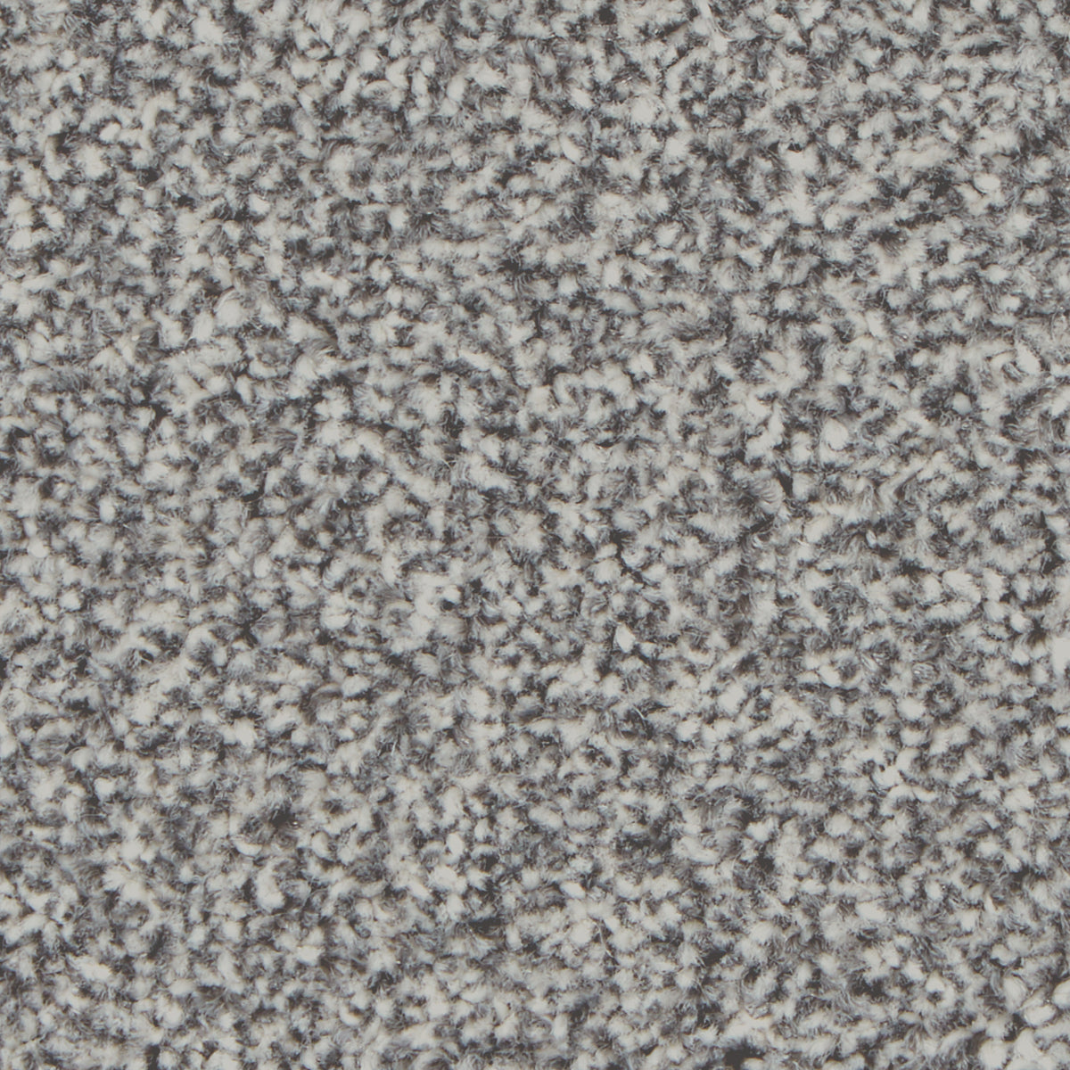 Kingston Elite Silver Birch Carpet
