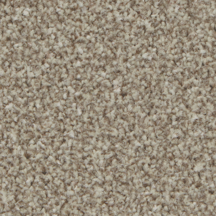 Kingston Elite Pale Oak Carpet