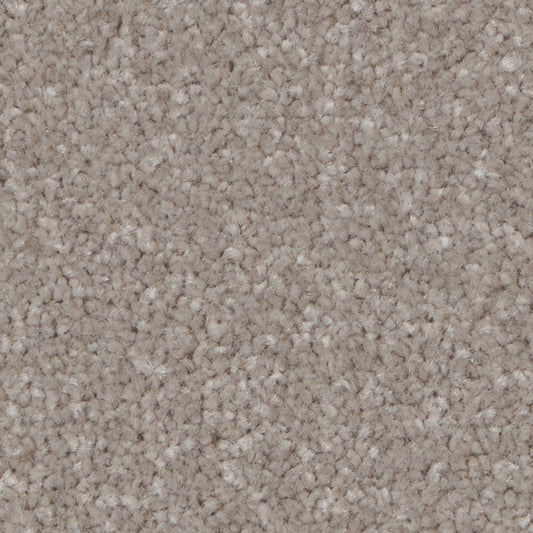 Kingston Elite Mushroom Carpet