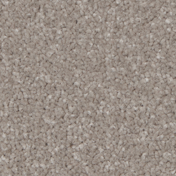 Kingston Elite Mushroom Carpet