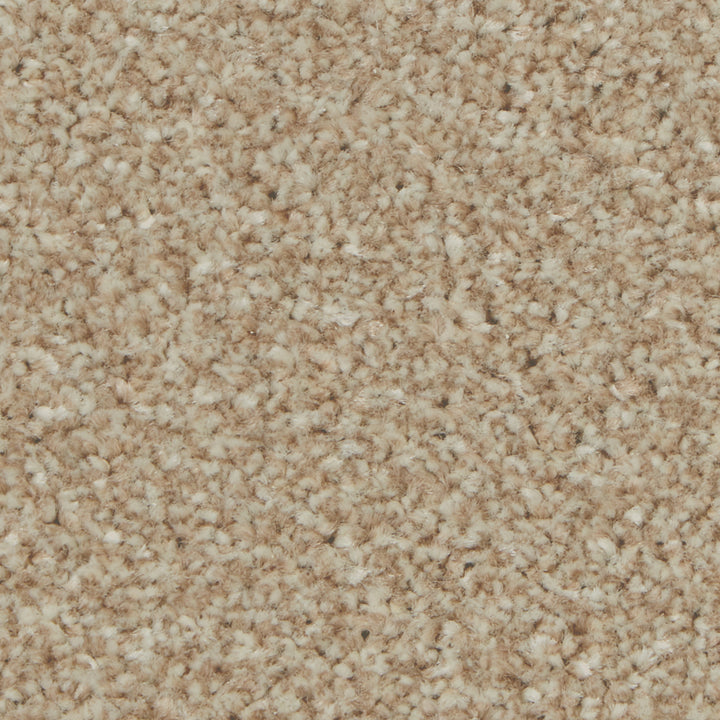 Kingston Elite Caracal Carpet