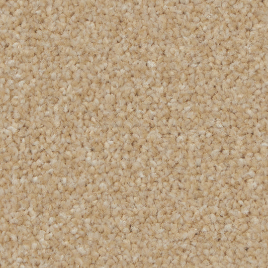 Kingston Elite Hayseed Carpet