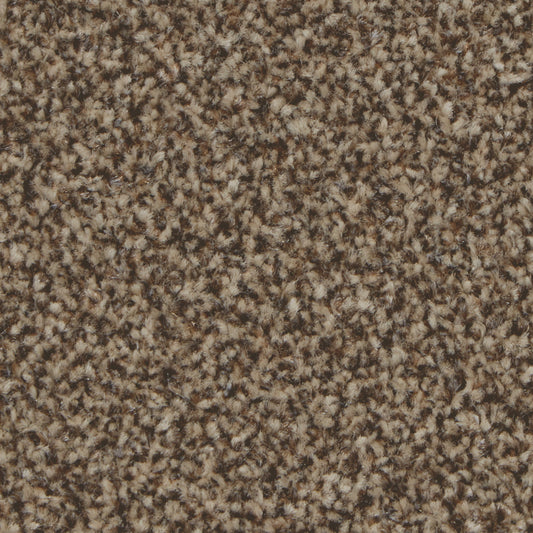 Kingston Elite Mocha Carpet