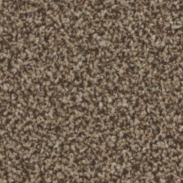Kingston Elite Mocha Carpet