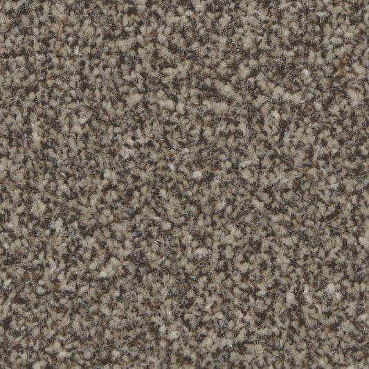 Kingston Elite Molasses Carpet